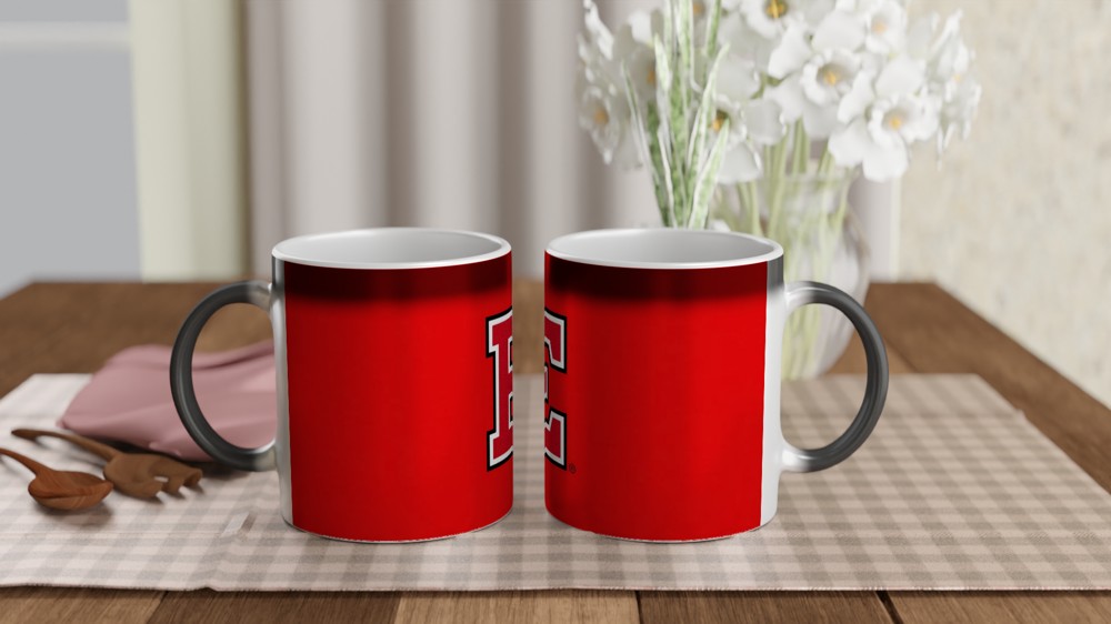 High School Musical Mug | East High Wildcats Design | Musical Theatre Gift | Theatre Lover Present — view 3